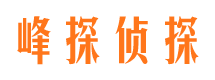 方城捉小三公司